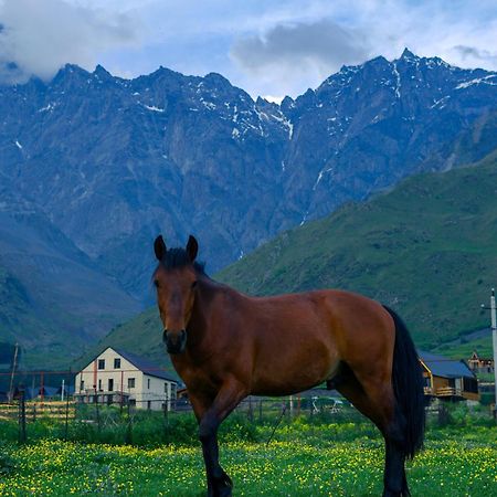 Savalley Kazbegi Exteriör bild