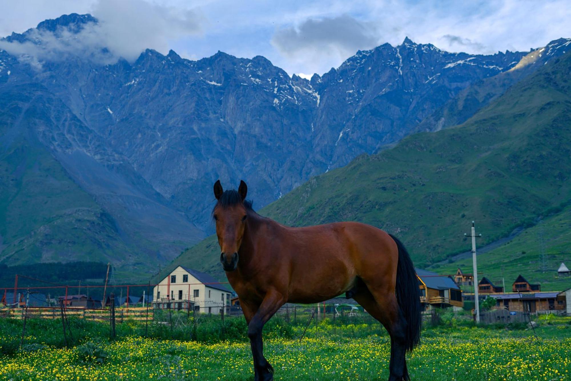 Savalley Kazbegi Exteriör bild